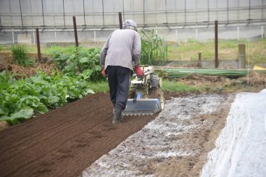 Tarım işi manzarası. Bir ekiciyle tarla ekme sahnesi..