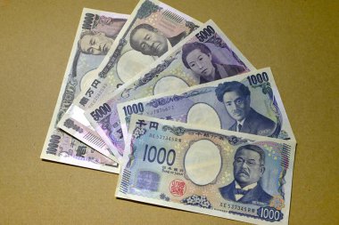 Japon Yen 'i 1, 5, 10, 50, 100, ve 500 yen, ve 1000, 2,000, 5,000, ve 10,000 yen' lik banknotlar halinde gelir, bunların hepsi Japon kültürünün ve tarihsel figürlerin resimlerini içerir..