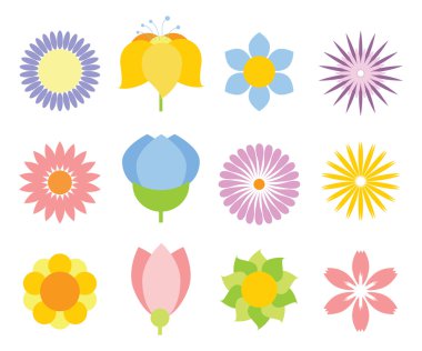 çiçeklenme yaz çiçek