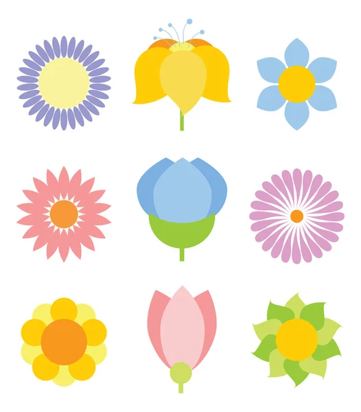 Floreciendo flores de verano — Vector de stock