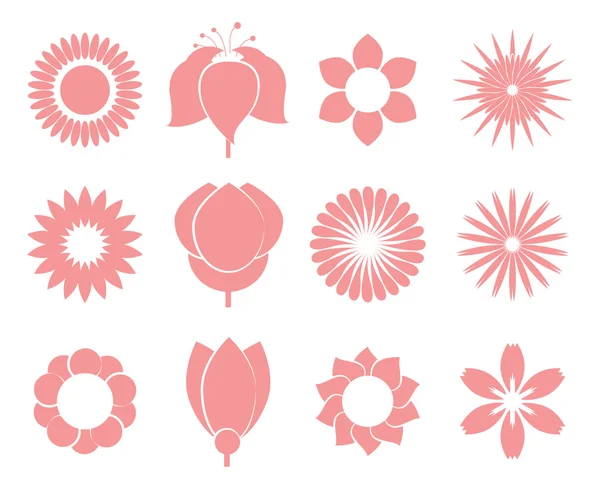 Floreciendo flores de verano — Vector de stock