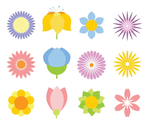 Floreciendo flores de verano — Vector de stock