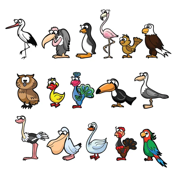 Aves engraçadas dos desenhos animados — Vetor de Stock