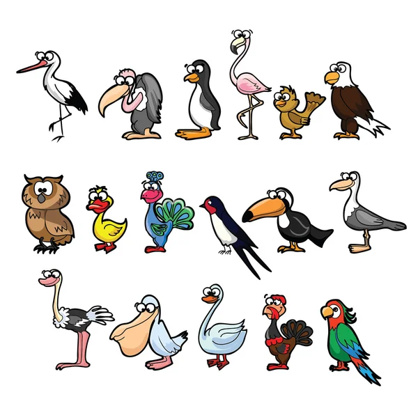 Aves engraçadas dos desenhos animados —  Vetores de Stock