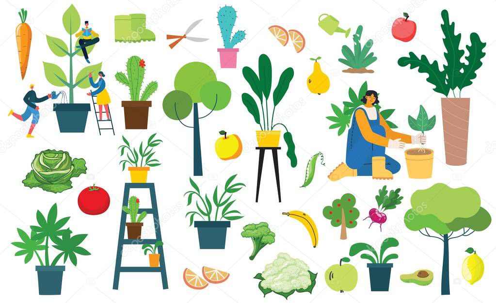 Vector set of village people with eco organic food, flowers and plants in the flat design