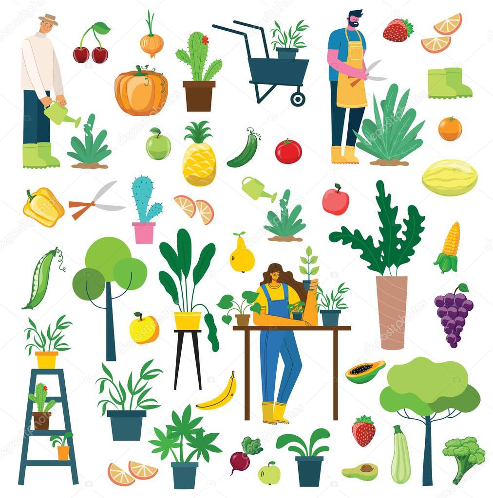Vector set of village people with organic eco food, flowers and plants in the flat design