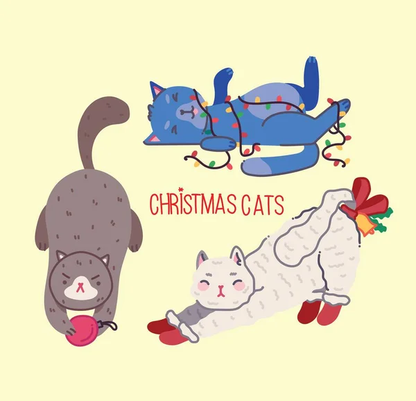 Pisici de Crăciun, Crăciun fericit ilustrație de pisici drăguțe cu accesorii cum ar fi o pălărie knited, pulover — Vector de stoc