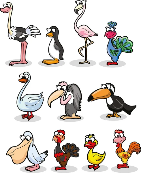 Juego de aves de dibujos animados — Vector de stock