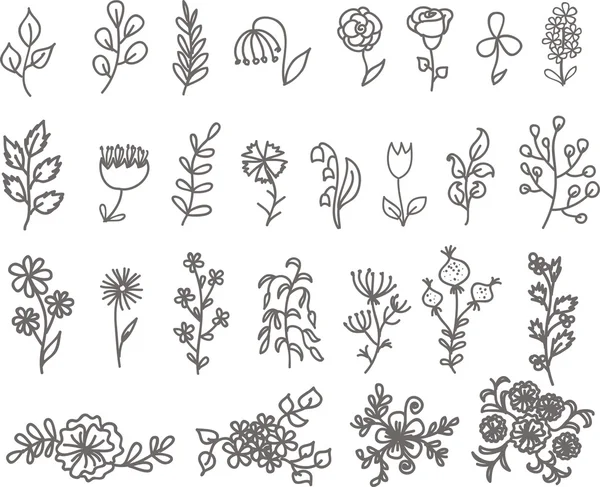 Verzameling van floral ontwerpelementen — Stockvector