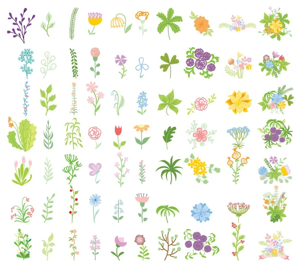 Dessin à la main des plantes d'été — Image vectorielle