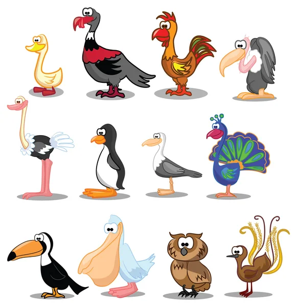 Cute cartoon birds — Stock Vector