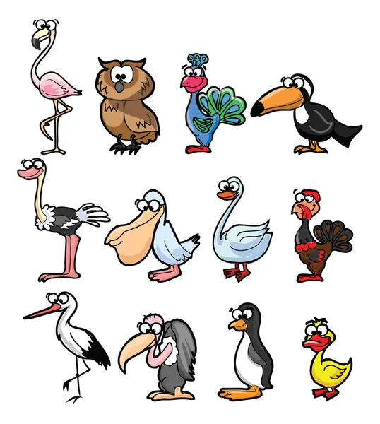 Conjunto de pássaros de desenhos animados — Vetor de Stock