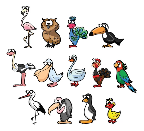 Juego de aves de dibujos animados — Archivo Imágenes Vectoriales