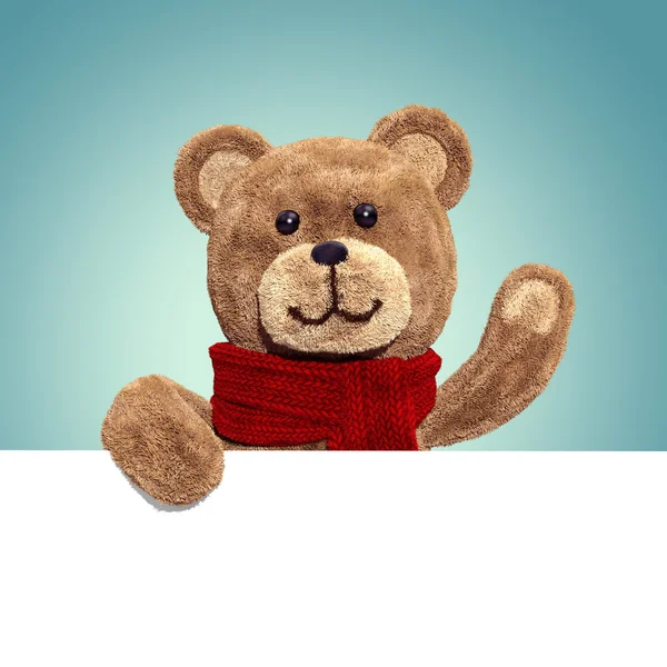 Teddy bear holding banner — Stock Photo, Image