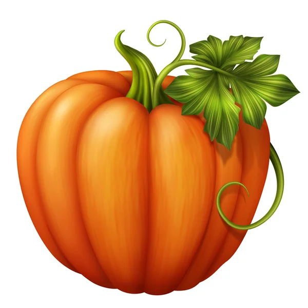 Autumn orange pumpkin with green leaf — Stock Photo, Image