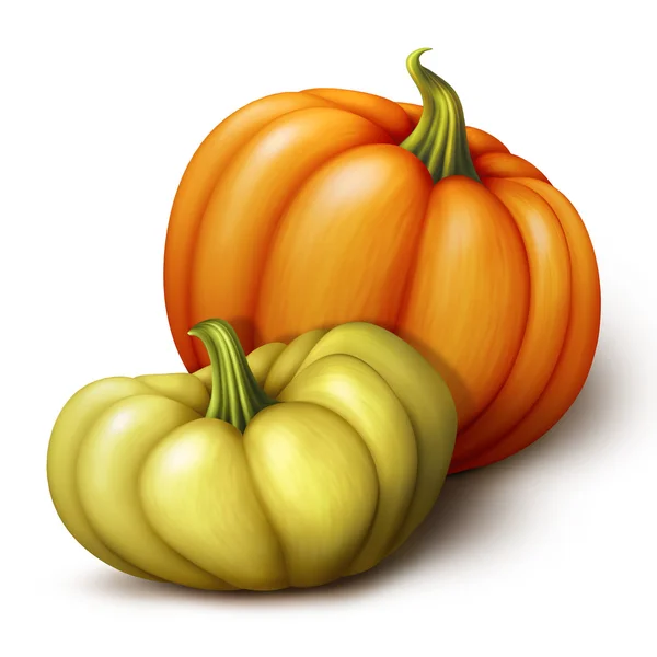 Autumn orange and yellow pumpkins — Stock Photo, Image