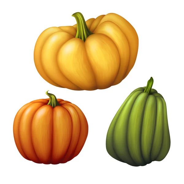 Set of assorted shapes pumpkins — Stock Photo, Image
