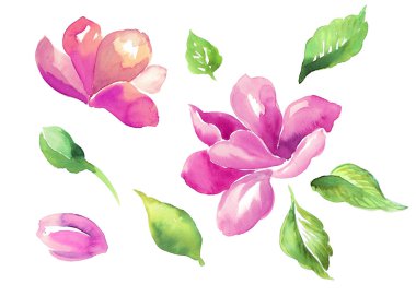 Green leaves and flower buds clipart