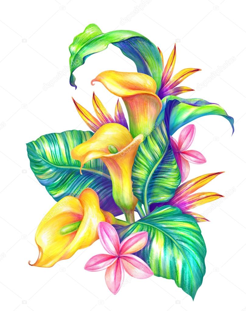 Hojas y flores tropicales Ilustración de stock #63267565 de ©wacomka, image size:808x1023