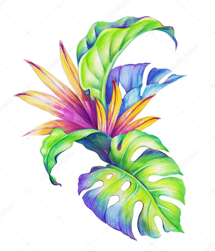 Tropical watercolor leaves
