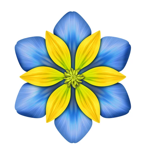 Blühende Gartenblume — Stockfoto