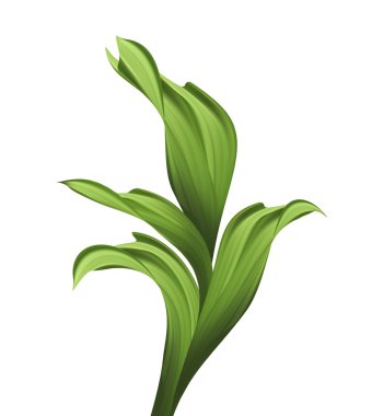 yaratıcı yeşillik, yeşil çim ve yaprakları çizimi boyalı