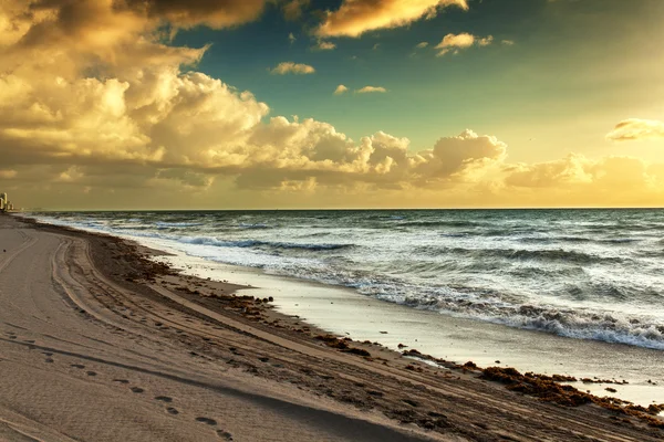 Sunset on the beach — Stock Photo, Image