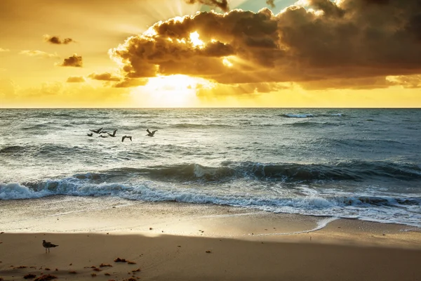 Sonnenuntergang am Strand — Stockfoto