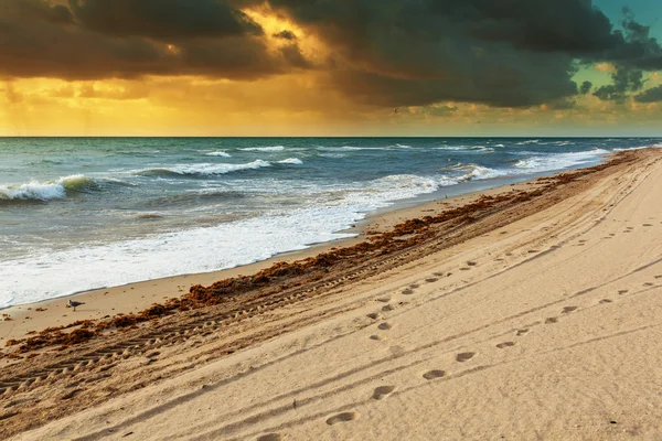 Solnedgång på stranden — Stockfoto