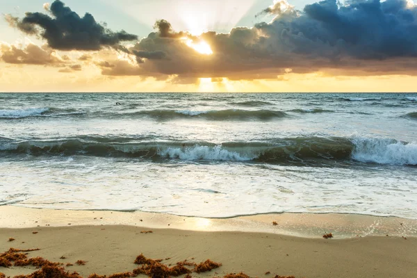 Solnedgång på stranden — Stockfoto