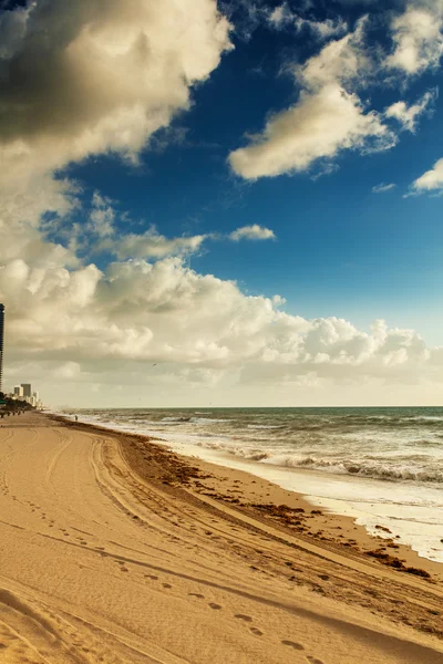 Sunset on the beach — Stock Photo, Image