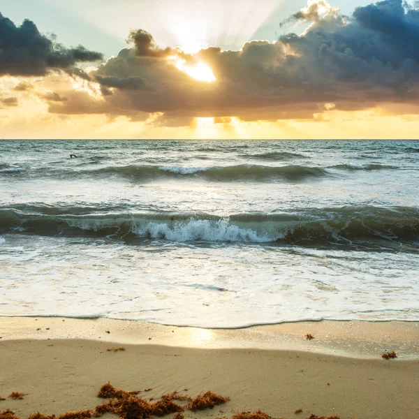 Sahilde gün batımı