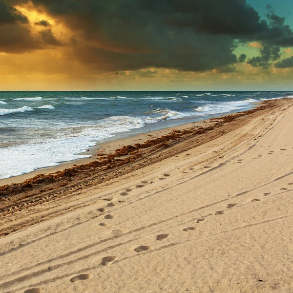 Solnedgång på stranden — Stockfoto