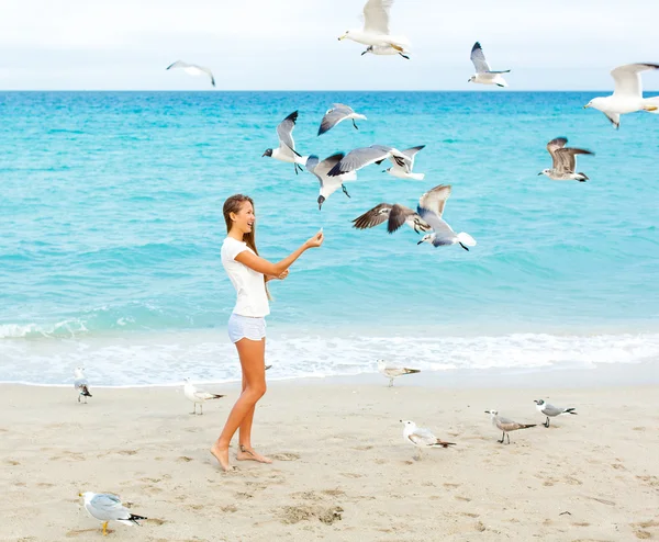 Girl on the beach feeding seagulls — Stock Photo, Image