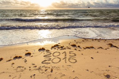 2015 ve 2016 bir sahil kumu imzalar