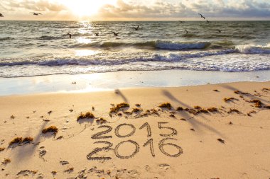 2015 ve 2016 bir sahil kumu imzalar