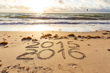 2015 ve 2016 bir sahil kumu imzalar