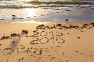 2015 ve 2016 bir sahil kumu imzalar