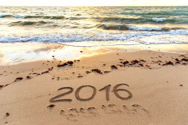Ano 2016 escrito na areia ao pôr do sol — Fotografia de Stock
