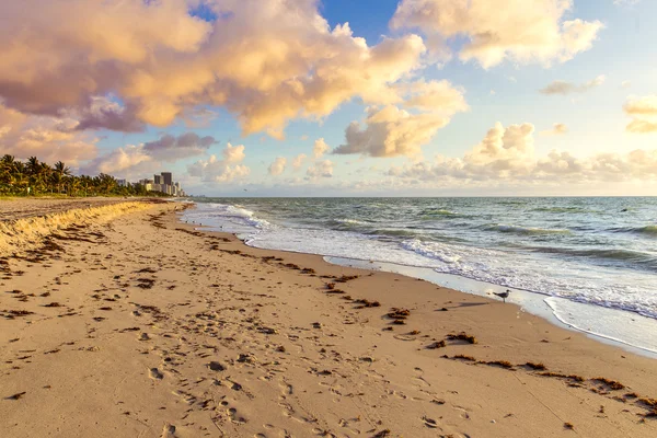 Vacker strand Visa med fantastisk himmel — Stockfoto