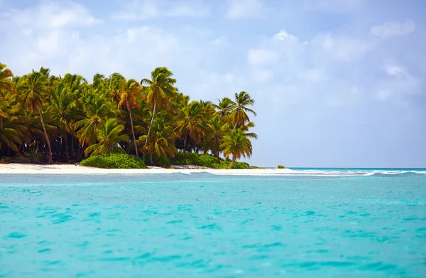 Beautiful tropical coast of caribbean, Saona Island, Dominican Republic — Stock Photo, Image