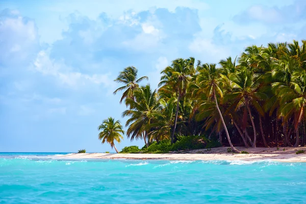 Beautiful tropical coast of caribbean, Saona Island, Dominican Republic — Stock Photo, Image