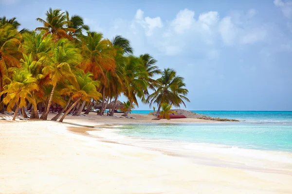 Hermosa costa tropical del Caribe, Isla Saona, República Dominicana — Foto de Stock