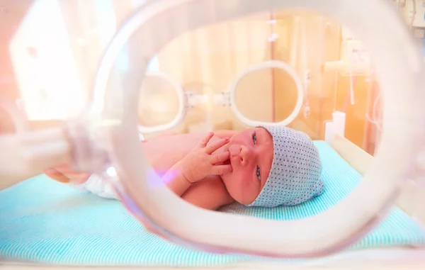 Bebé recién nacido acostado dentro de la incubadora de bebés en el hospital, chupando los dedos —  Fotos de Stock