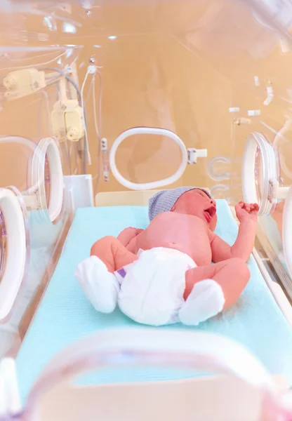 Newborn baby lying inside the infant incubator in hospital — Stock Photo, Image