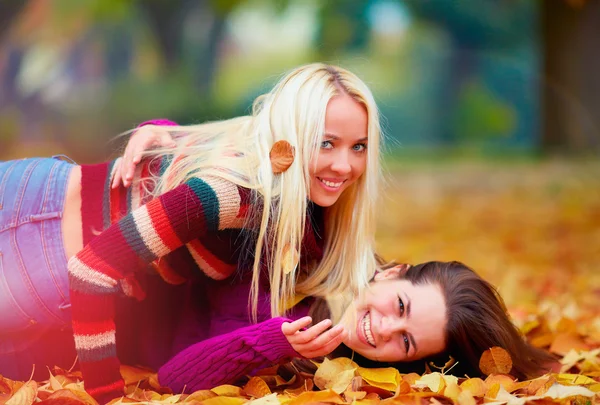 Ravi les filles, amis s'amuser parmi les feuilles tombées dans le parc d'automne — Photo