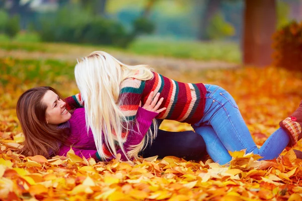 Chicas encantadas, amigos divirtiéndose entre hojas caídas en el parque de otoño —  Fotos de Stock