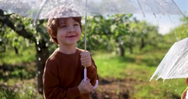 Happy Kid Jonge Jongen Verbergen Voor Regen Druppels Vallen Paraplu — Stockvideo