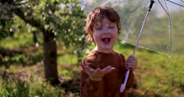 Güneşli Yaz Gününde Bahar Bahçesinde Şemsiyeden Düşen Yağmur Damlalarını Yakalayan — Stok video