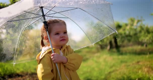 Słodkie Dziecko Dziewczynka Oglądanie Krople Deszczu Spada Jej Parasol Wiosennym — Wideo stockowe